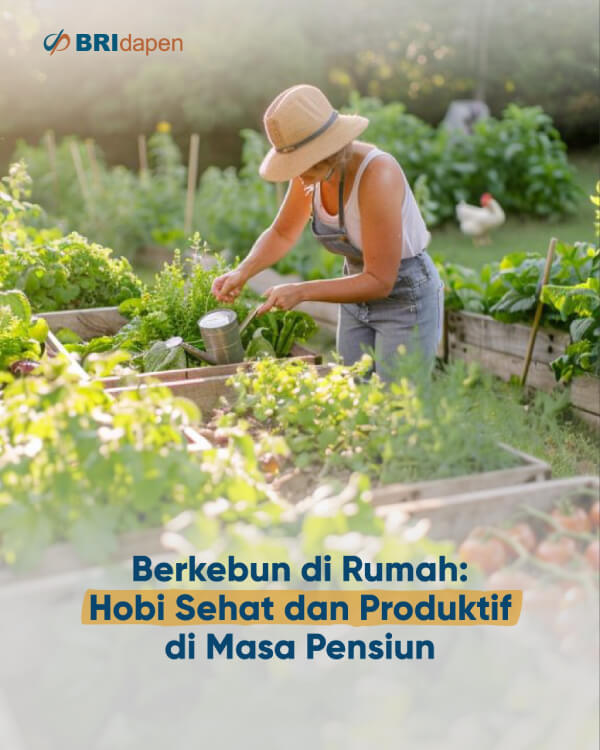 hobi sehat dan produktif pensiun